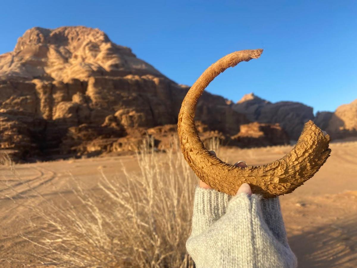 Wadi Rum Albasli Luaran gambar