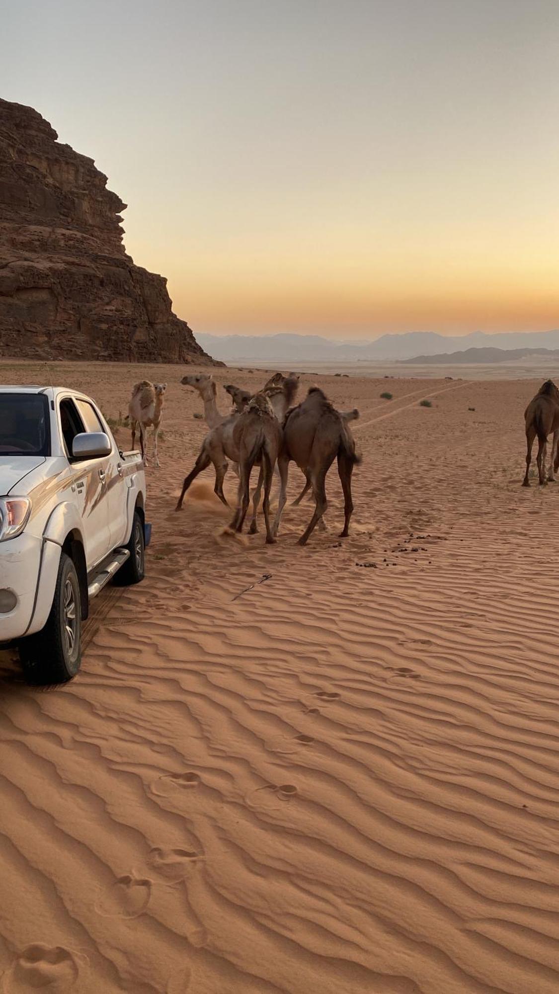 Wadi Rum Albasli Luaran gambar
