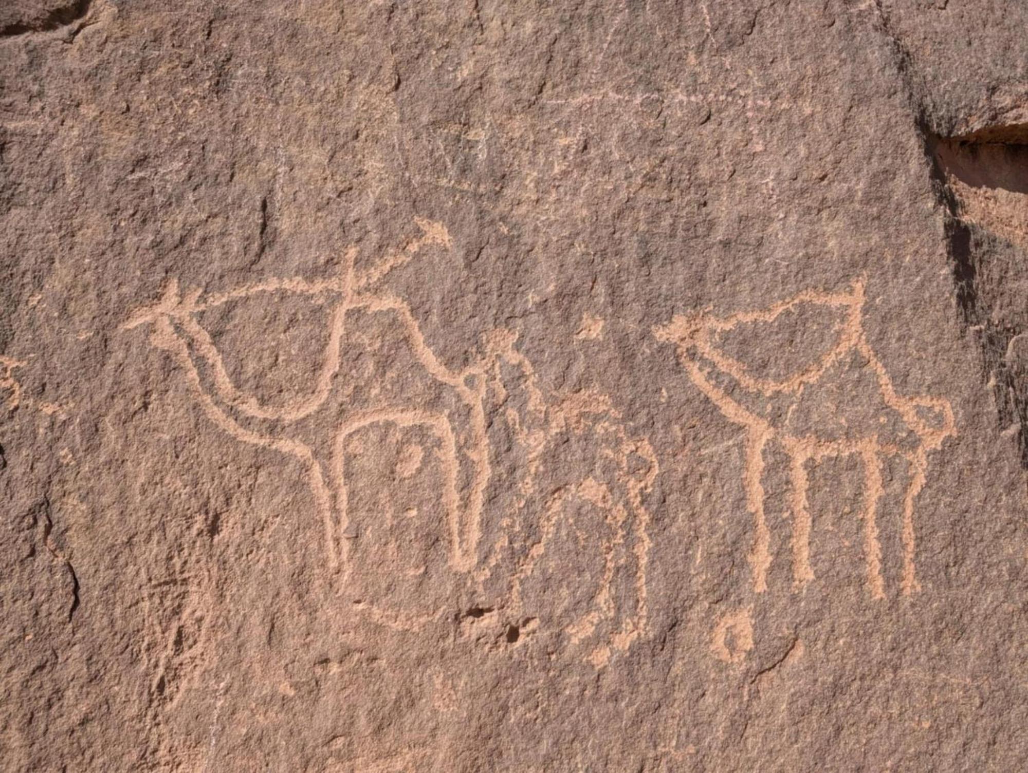 Wadi Rum Albasli Luaran gambar