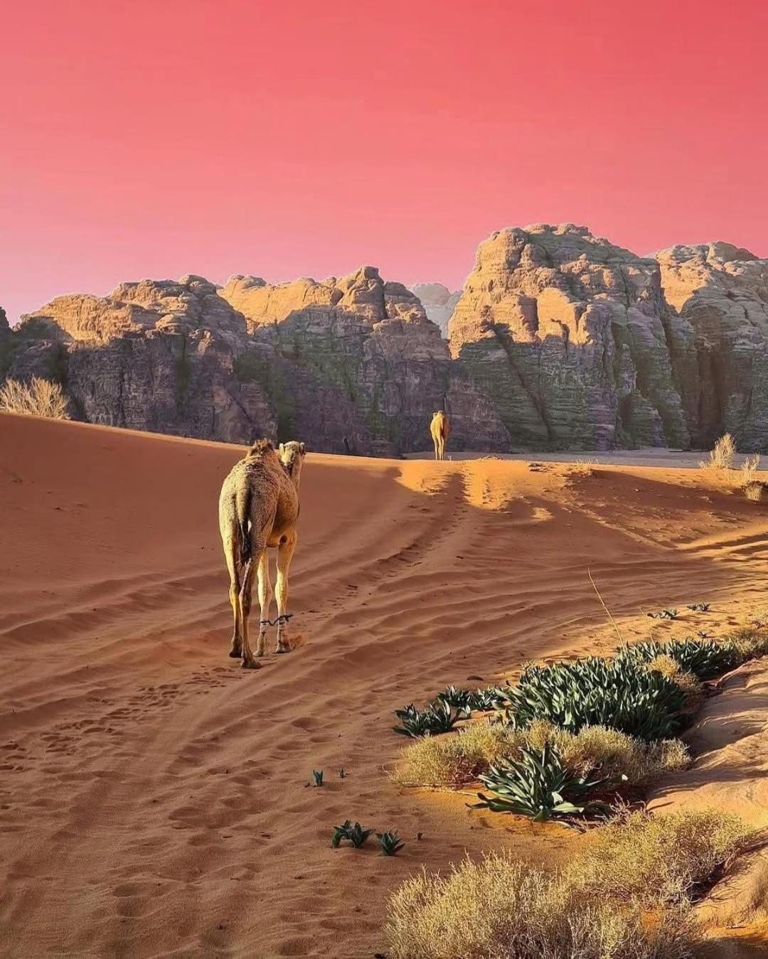 Wadi Rum Albasli Luaran gambar