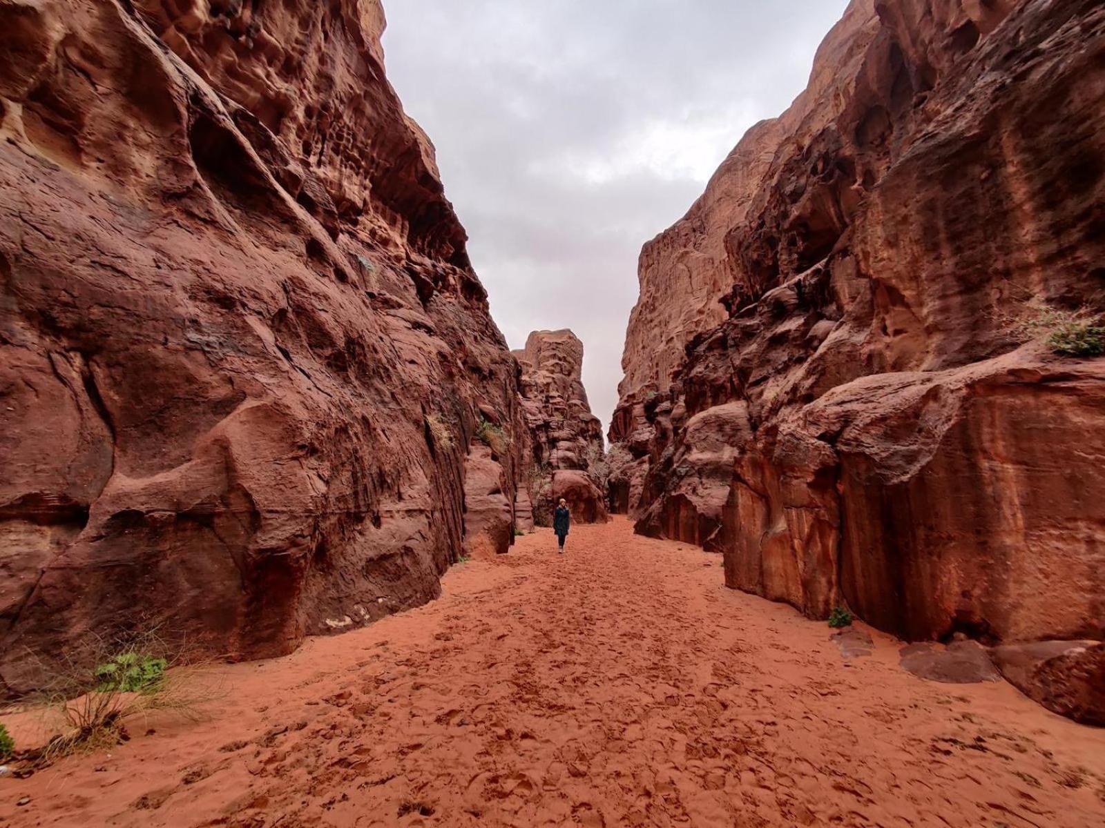 Wadi Rum Albasli Luaran gambar